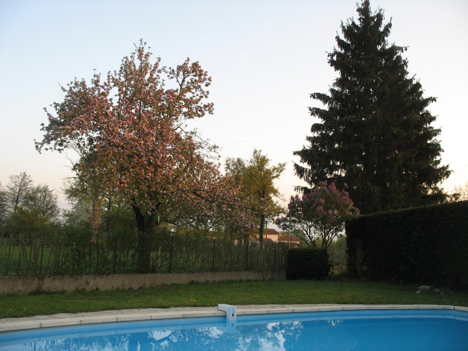 La Ferme Du Nizon Apartment Valeille Exterior photo
